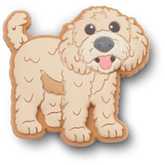 Women|Men|Jibbitz™ Charms b'Golden Doodle Puppy Jibbitz Shoe Charm' | Crocs On sale