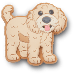 Women|Men|Jibbitz™ Charms b'Golden Doodle Puppy Jibbitz Shoe Charm' | Crocs On sale