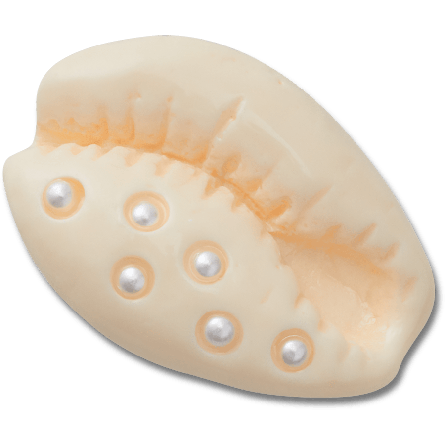 Women|Men|Jibbitz™ Charms Pearl Puka Shell Jibbitz™ charms | Crocs Sale