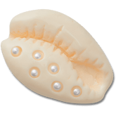 Women|Men|Jibbitz™ Charms Pearl Puka Shell Jibbitz™ charms | Crocs Sale