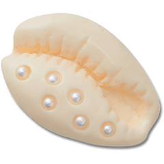 Women|Men|Jibbitz™ Charms Pearl Puka Shell Jibbitz™ charms | Crocs Sale
