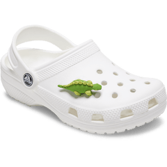 Women|Men|Jibbitz™ Charms 3D Green Dino with Scales Jibbitz™ charms | Crocs Online