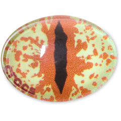 Women|Men|Jibbitz™ Charms Hazel Animal Eye Jibbitz™ charms | Crocs For sale