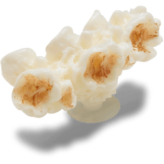 Women|Men Realistic Popcorn 2 Jibbitz™ charms | Crocs On sale