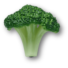 Women|Men|Jibbitz™ Charms Realistic Broccoli Jibbitz™ charms | Crocs Outlet