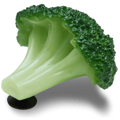 Women|Men|Jibbitz™ Charms Realistic Broccoli Jibbitz™ charms | Crocs Outlet