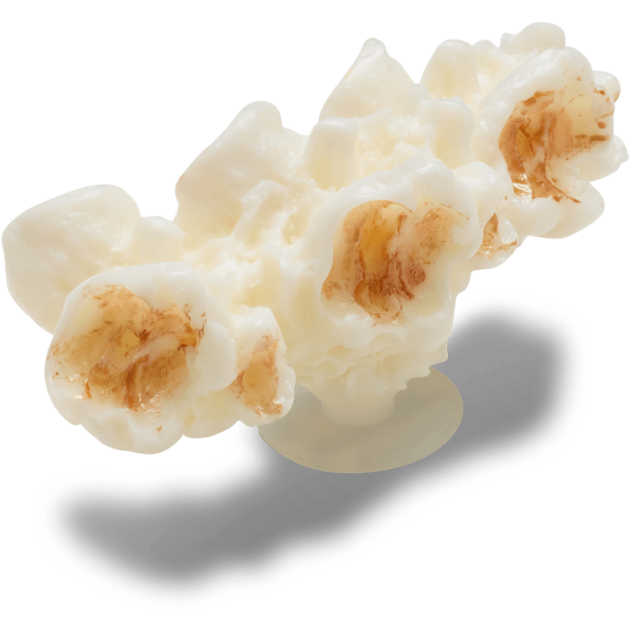 Women|Men Realistic Popcorn 2 Jibbitz™ charms | Crocs On sale