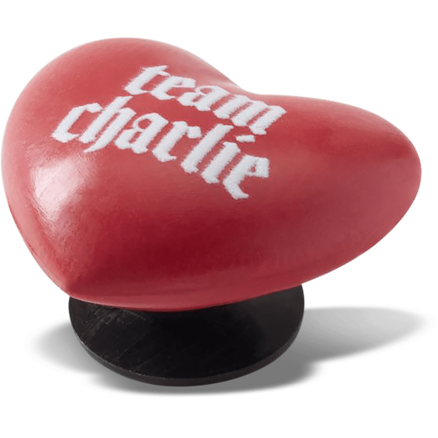 Women|Men|Kids|Jibbitz™ Charms The Twilight Saga Team Charlie Jibbitz Shoe Charm | Crocs On sale