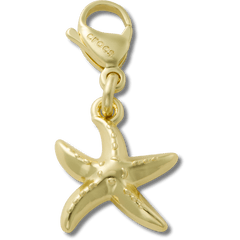 Women|Men|Kids Gold Starfish Charm Jibbitz charm | Crocs Near me