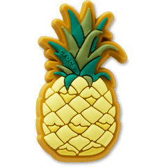 Women|Men Perfect Pineapple Jibbitz™ charms | Crocs us
