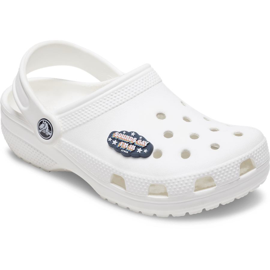 Women|Men Sounds Gay Im In Jibbitz™ charms | Crocs us