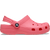 Guava